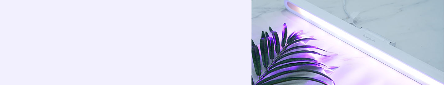 LED PKG 이미지